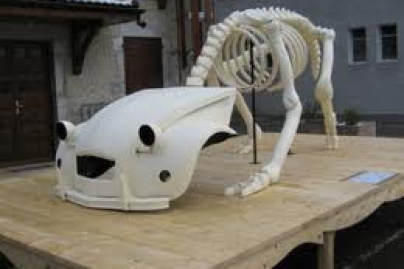 Ghyslain Bertholon, “Maleda”, installations