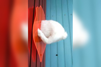 Ghyslain Bertholon, solo show, “Maleda”, installation, dessins, photos, sculptures