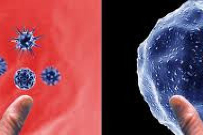 Blow-up / Cycle "Side Effects", exposition en ligne sur internet