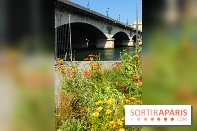 Petite Fleur Folie, le jardin éphémère sur les Berges