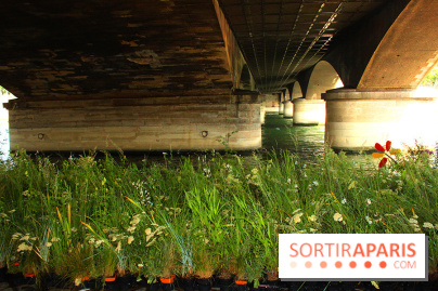 Petite Fleur Folie, le jardin éphémère sur les Berges