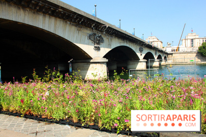 Petite Fleur Folie, le jardin éphémère sur les Berges