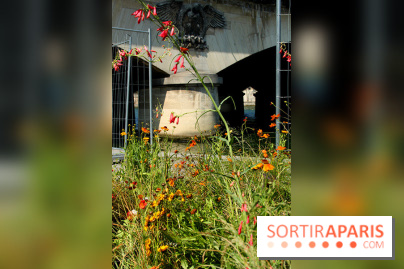 Petite Fleur Folie, le jardin éphémère sur les Berges