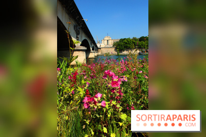 Petite Fleur Folie, le jardin éphémère sur les Berges