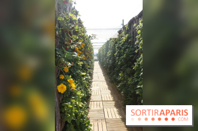 Le Paris sous les fraises des Galeries Lafayette