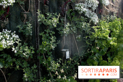 Le Paris sous les fraises des Galeries Lafayette