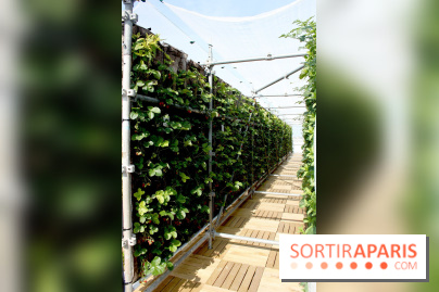 Le Paris sous les fraises des Galeries Lafayette