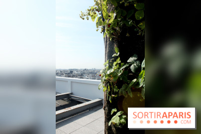 Le Paris sous les fraises des Galeries Lafayette