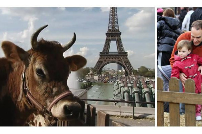 Nuit Verte 2014 au Trocadéro