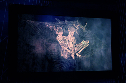 Préhistoire(s), l'enquête