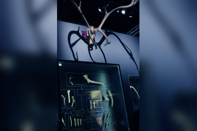 Préhistoire(s), l'enquête