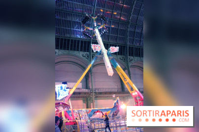 Jours de Fête 2011 au Grand Palais