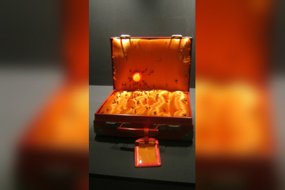 exposition Nez rouge,