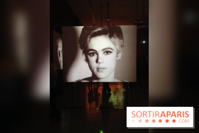 Andy Warhol au MAMVP