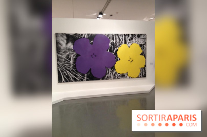 Andy Warhol au MAMVP