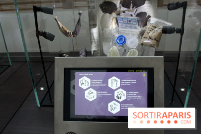 Le nouveau Musée de l'Homme