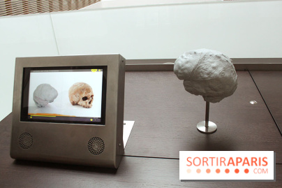 Le nouveau Musée de l'Homme