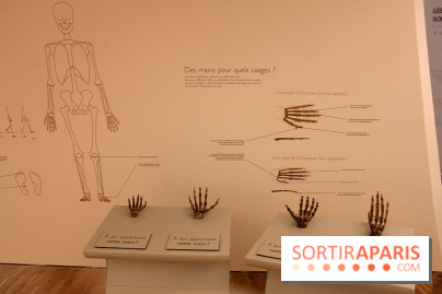 Le nouveau Musée de l'Homme 