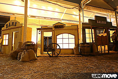 La Nuit des Ambassadeurs 2015, les photos du Wild West Express, la suite