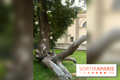 FIAC 2015, le hors-les-murs au Jardin des Plantes