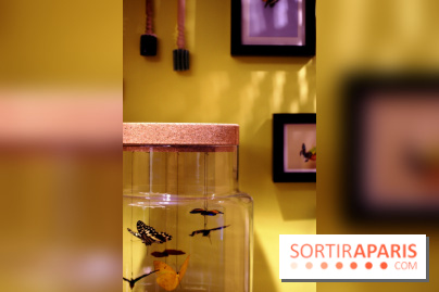 ME (Mon Éclair) à Paris