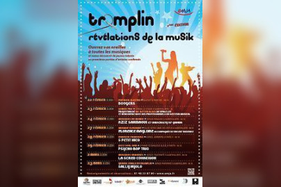 Tremplin Révélations de la Musik - catégorie pop rock electro