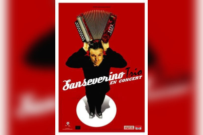 Concert, Paris, Sanseverino, Bouffes du Nord