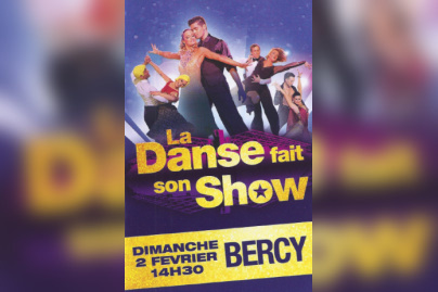 La Danse fait son Show 2014 à Paris Bercy