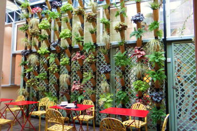 L’arbre Céleste par Amaury Gallon