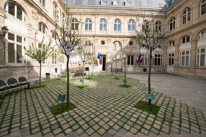 Un verger à la mairie du 4e