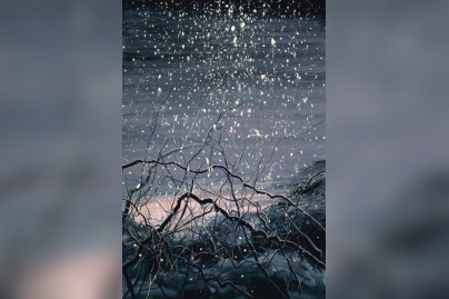 Zeng Fanzhi, Untitled, 2012