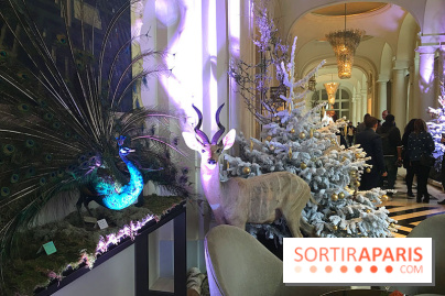 Noël au Trianon palace avec Deyrolle