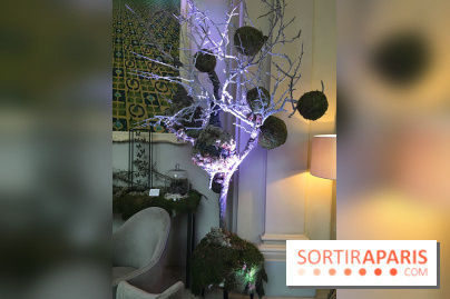 Noël au Trianon palace avec Deyrolle