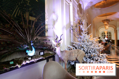 Noël au Trianon palace avec Deyrolle
