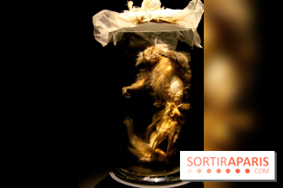 Persona, l'exposition terrifiante au Musée du Quai Branly