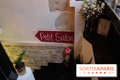 LSD : Les Souris Dansent