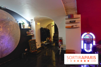 LSD : Les Souris Dansent