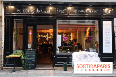 LSD : Les Souris Dansent