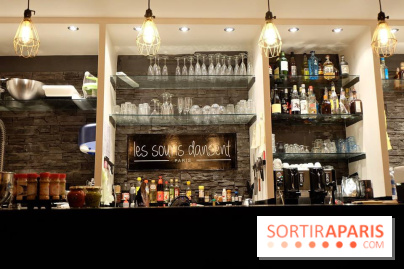 LSD : Les Souris Dansent