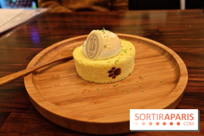 LSD : Les Souris Dansent