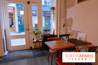 LSD : Les Souris Dansent