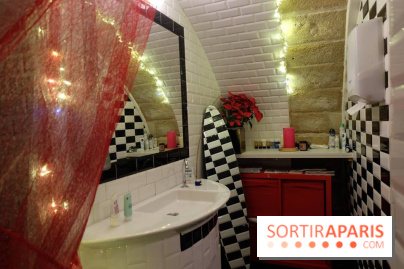 LSD : Les Souris Dansent