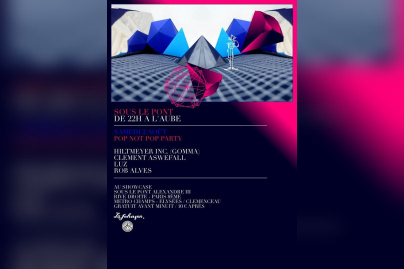 Soirée, Paris, Sous le Pont, Pont Alexande 3, Johnson, Pop Not Pop