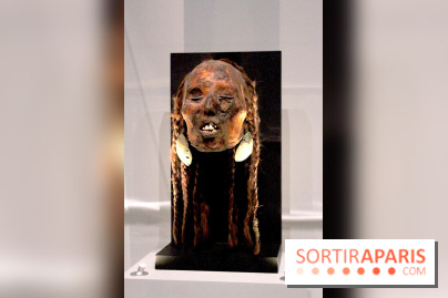 Carambolages au Grand Palais