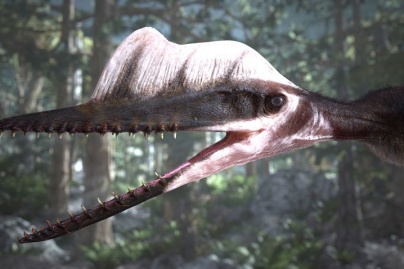 Ptérodactyles 3D à la Géode