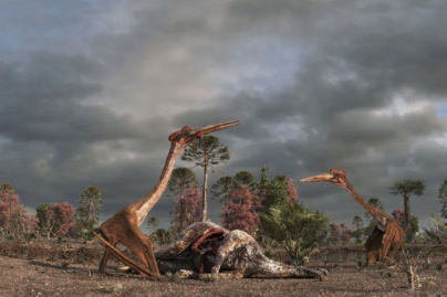 Ptérodactyles 3D à la Géode