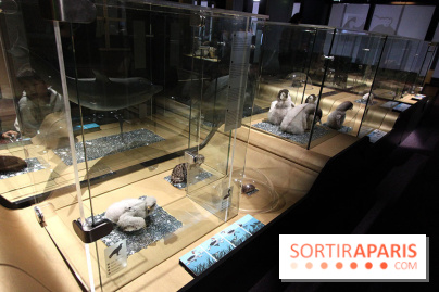 Exposition BéBés animaux à la Cité des Sciences, les photos