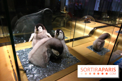 Exposition BéBés animaux à la Cité des Sciences, les photos
