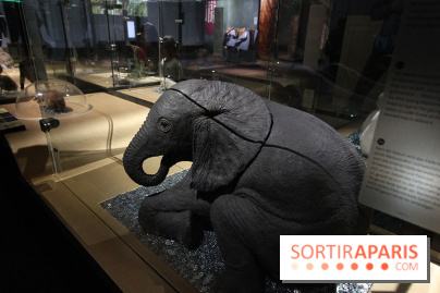 Exposition BéBés animaux à la Cité des Sciences, les photos