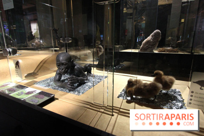 Exposition BéBés animaux à la Cité des Sciences, les photos